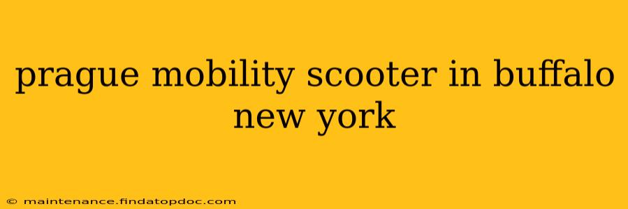 prague mobility scooter in buffalo new york
