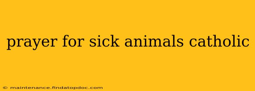 prayer for sick animals catholic