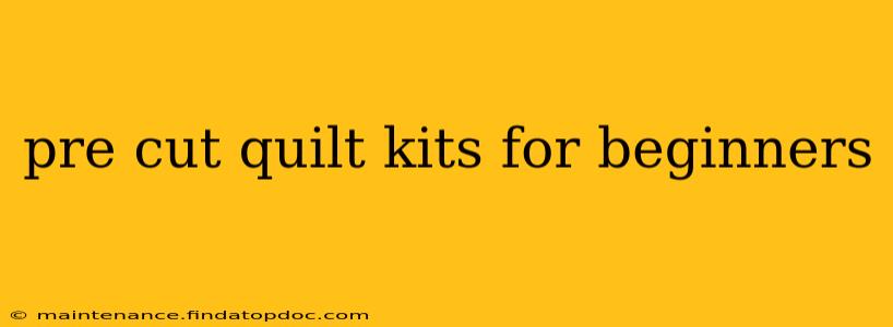 pre cut quilt kits for beginners