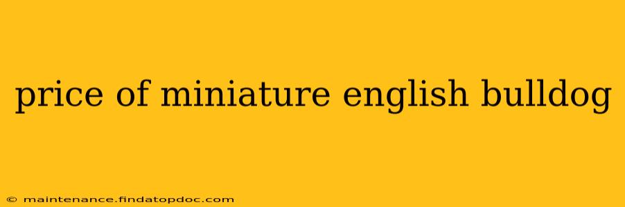 price of miniature english bulldog