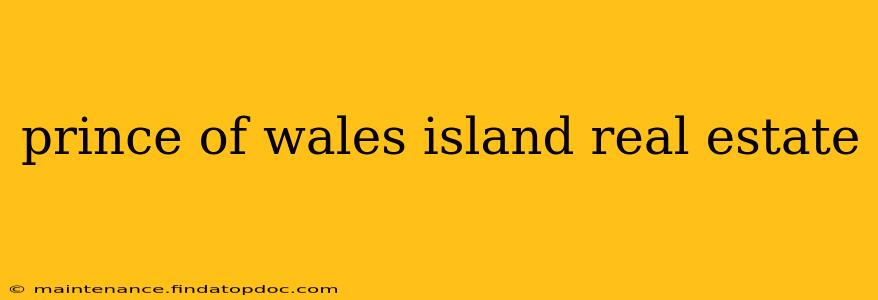 prince of wales island real estate
