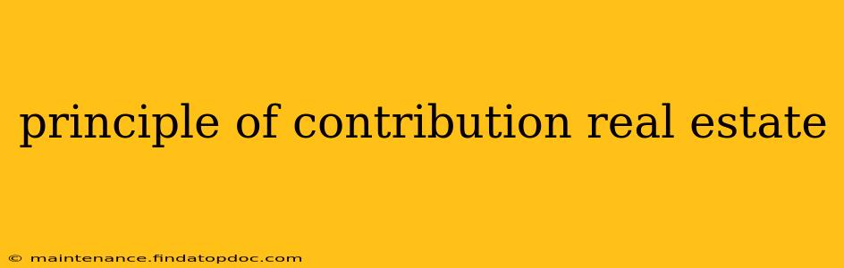 principle of contribution real estate