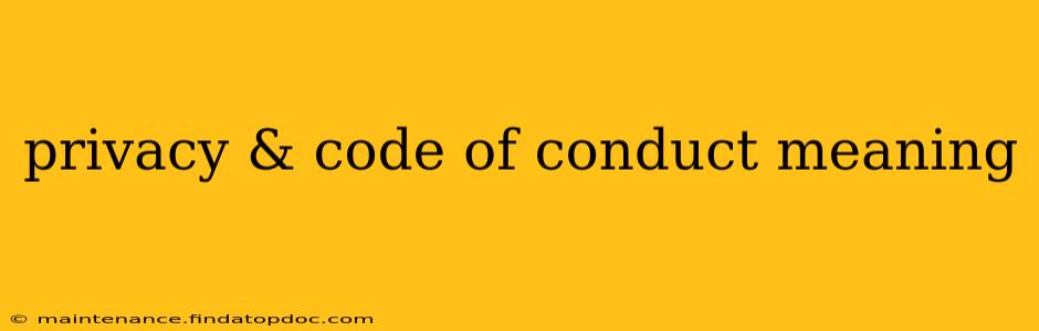 privacy & code of conduct meaning