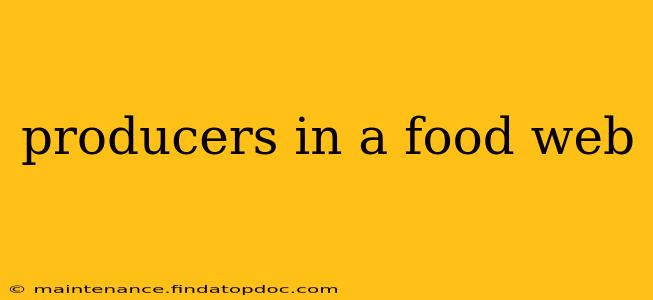 producers in a food web