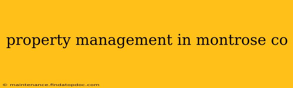property management in montrose co