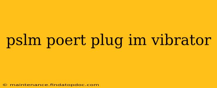 pslm poert plug im vibrator pslm poert plug im vibrator