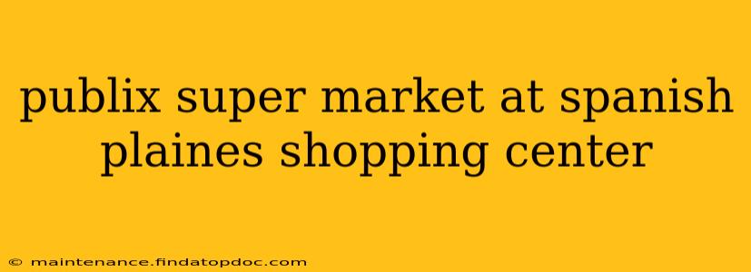publix super market at spanish plaines shopping center
