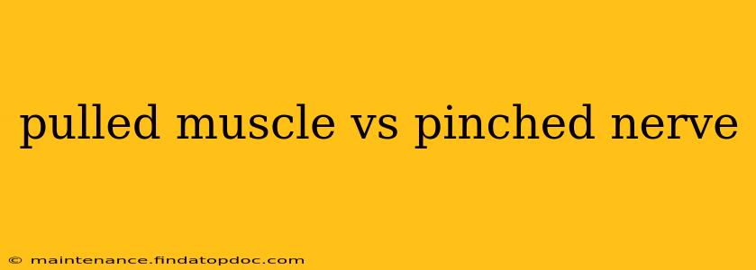 pulled muscle vs pinched nerve
