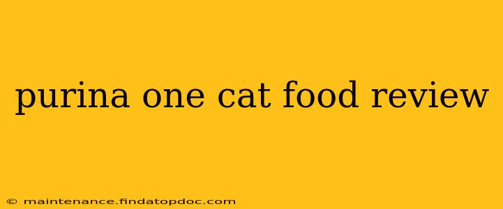 purina one cat food review