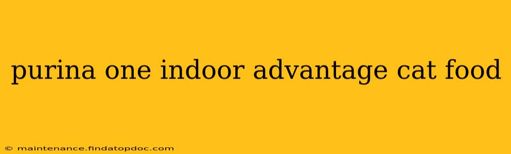 purina one indoor advantage cat food