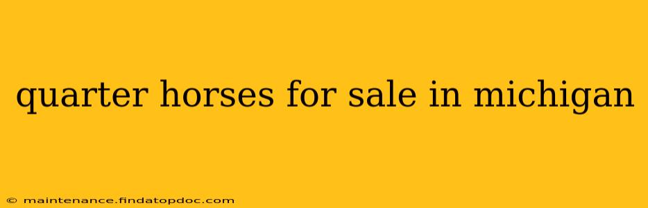 quarter horses for sale in michigan