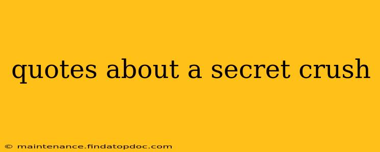 quotes about a secret crush
