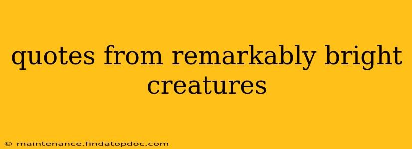quotes from remarkably bright creatures