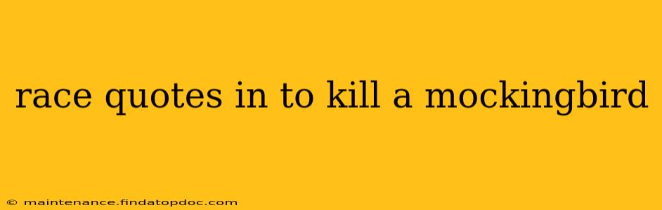 race quotes in to kill a mockingbird