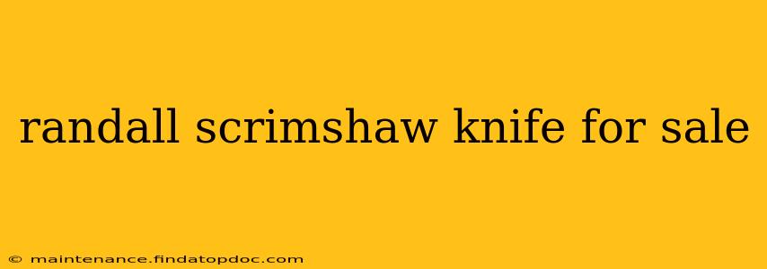 randall scrimshaw knife for sale
