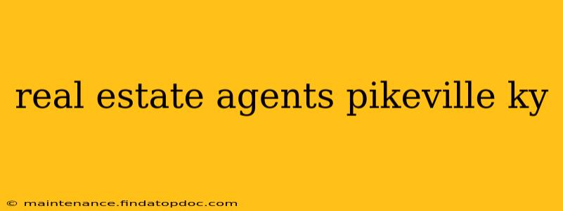 real estate agents pikeville ky