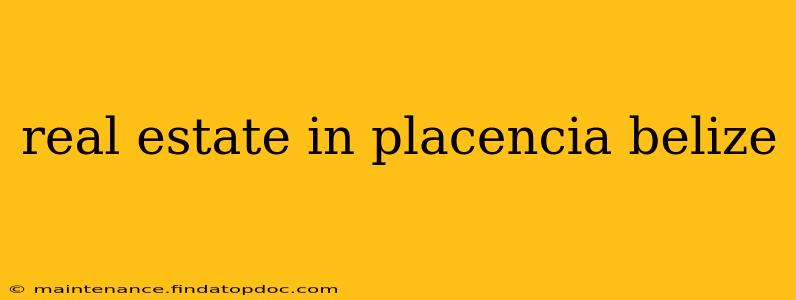 real estate in placencia belize