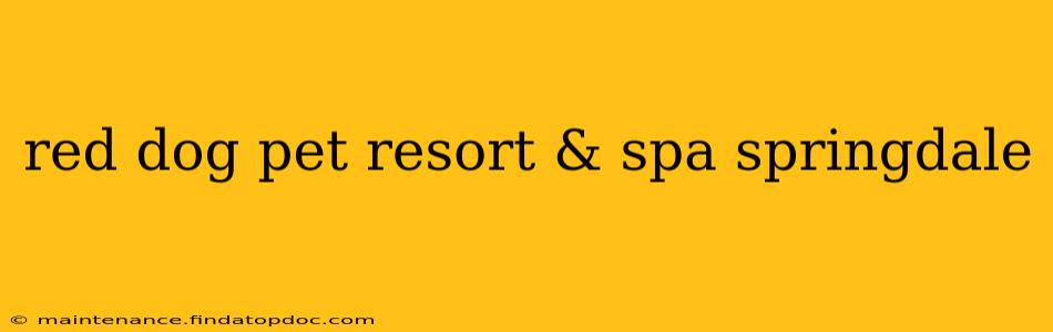 red dog pet resort & spa springdale
