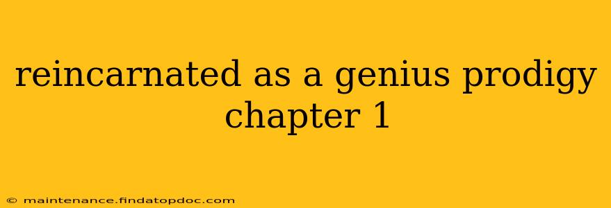 reincarnated as a genius prodigy chapter 1