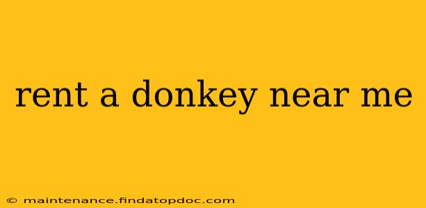 rent a donkey near me