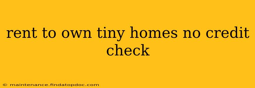 rent to own tiny homes no credit check