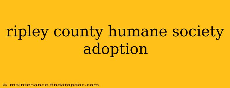 ripley county humane society adoption