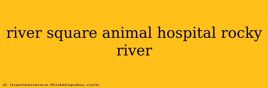river square animal hospital rocky river