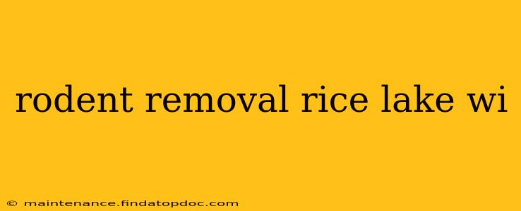 rodent removal rice lake wi