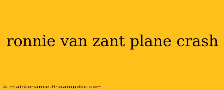 ronnie van zant plane crash