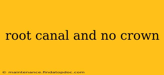 root canal and no crown