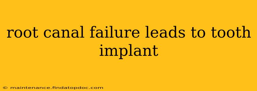 root canal failure leads to tooth implant