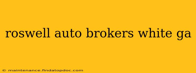 roswell auto brokers white ga
