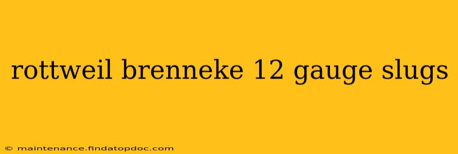 rottweil brenneke 12 gauge slugs