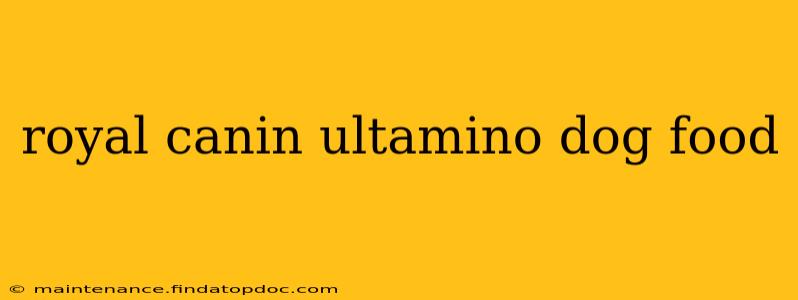 royal canin ultamino dog food
