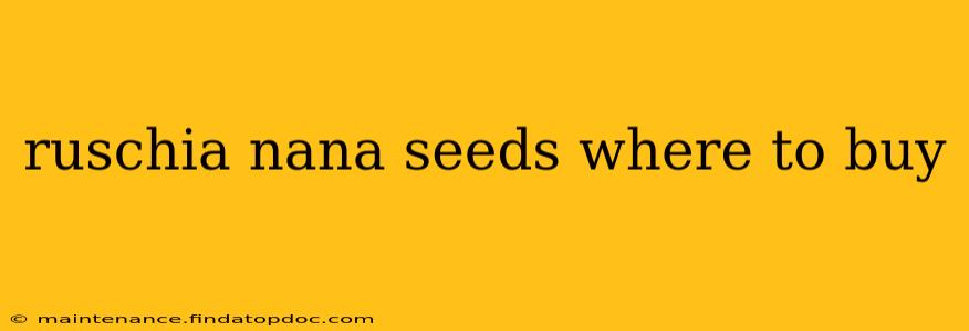 ruschia nana seeds where to buy