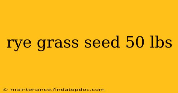 rye grass seed 50 lbs