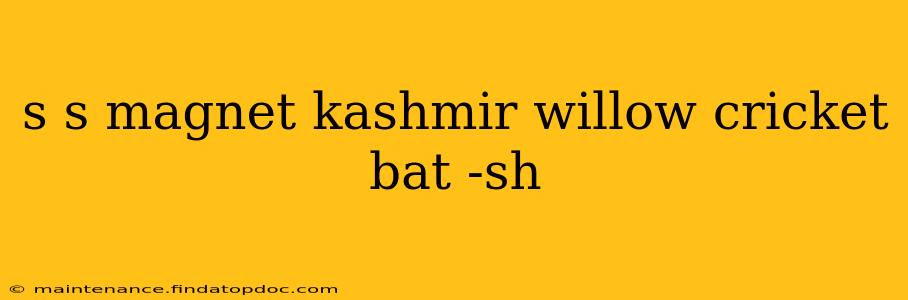 s s magnet kashmir willow cricket bat -sh