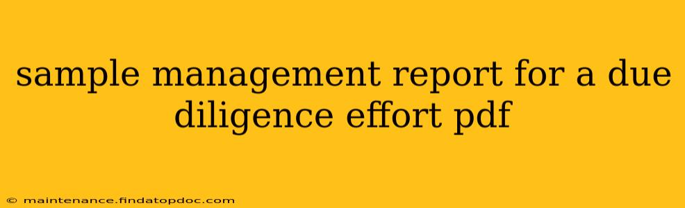 sample management report for a due diligence effort pdf