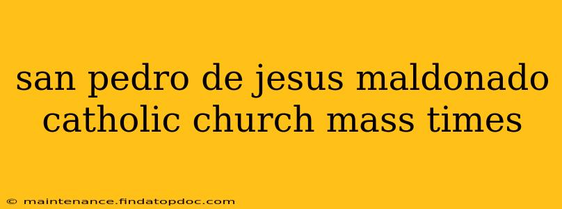 san pedro de jesus maldonado catholic church mass times