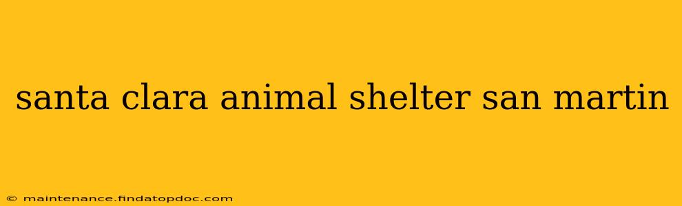 santa clara animal shelter san martin