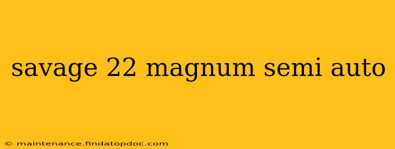 savage 22 magnum semi auto