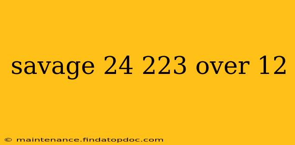 savage 24 223 over 12