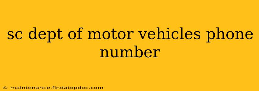 sc dept of motor vehicles phone number
