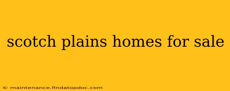 scotch plains homes for sale