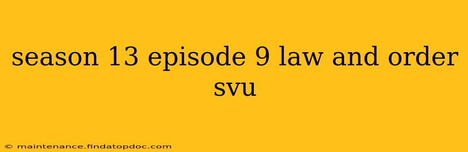 season 13 episode 9 law and order svu