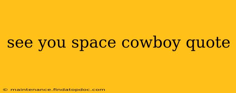 see you space cowboy quote