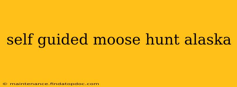 self guided moose hunt alaska