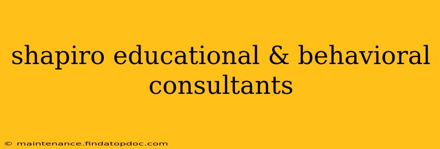 shapiro educational & behavioral consultants