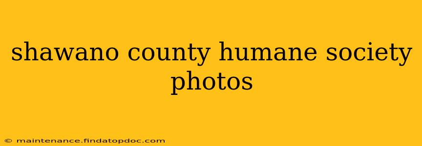 shawano county humane society photos
