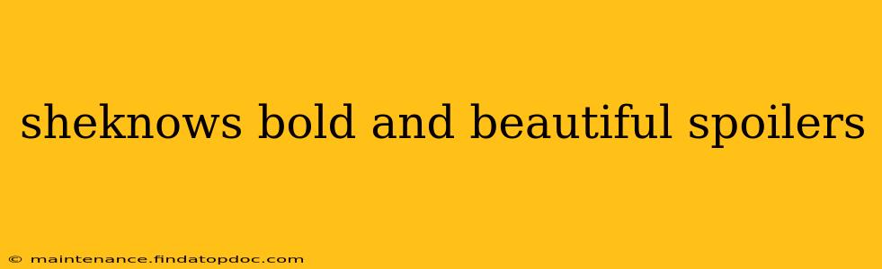 sheknows bold and beautiful spoilers